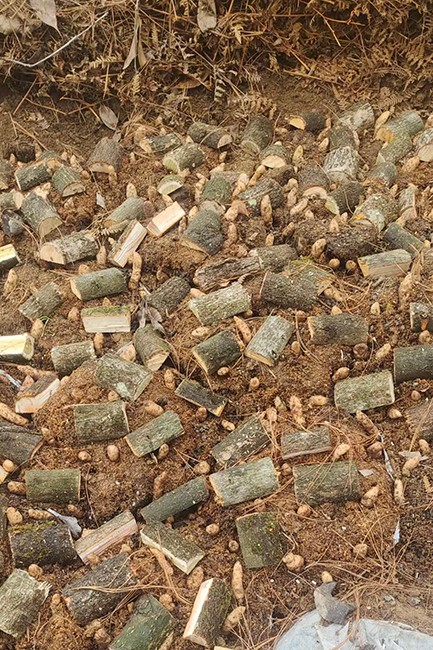 现代保护与产业发展