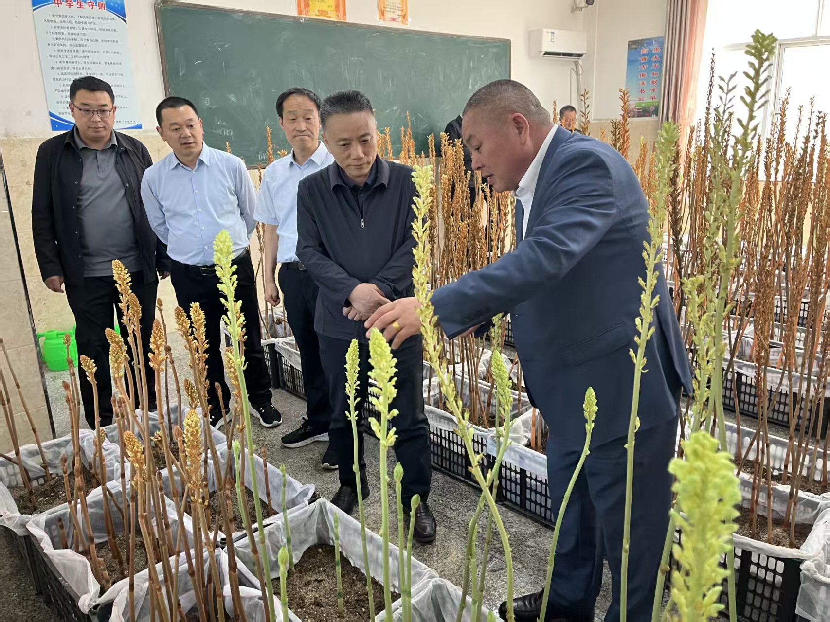 微信图片_20260507102512_140_2.jpg